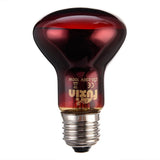 E27 Amphibian Bird Snake Reptile Heat Lizards Turtles Snakes Lamp Small Animal Heating Package 6075100w 220240 Glass
