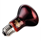 E27 Amphibian Bird Snake Reptile Heat Lizards Turtles Snakes Lamp Small Animal Heating Package 6075100w 220240 Glass