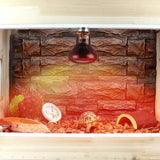 E27 Amphibian Bird Snake Reptile Heat Lizards Turtles Snakes Lamp Small Animal Heating Package 6075100w 220240 Glass