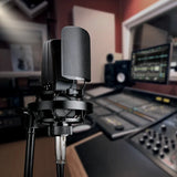Hot Takstar TAK55 high quality studio grade professional recording microphone dual gold plated diaphragm three polar patterns