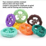 Loofah Chew Toys Small Pets Teeth Grinding Exercise Accessories Guinea Pig Toys Pet Teething Toy Exercise Accessories For Small