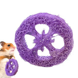 Loofah Chew Toys Small Pets Teeth Grinding Exercise Accessories Guinea Pig Toys Pet Teething Toy Exercise Accessories For Small