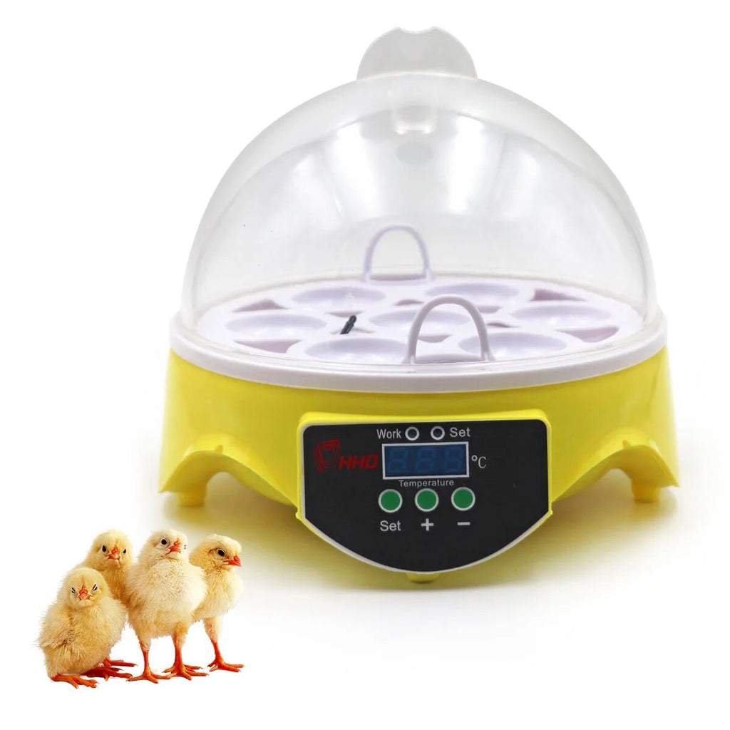 Mini 7 Egg Incubator Poultry Incubator Brooder Digital Temperature Fa ...