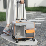 New Cat Bag Puppy Bag High Appearance Level Cat Backpack Portable Outdoor Pet Trolley Cat Carrier Conveyors And Strollers