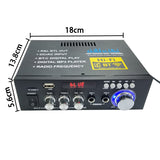 Specially designed for home outdoor audio amplifier with TF card, USB drive, dual channel dual purpose Bluetooth amplifier board