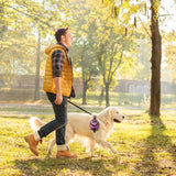 Outdoor Dog Training Treat Bag Pet Poop Bag Holder Dispenser Puppy Snack Reward Waist Bag Dog Carriers Bags with Carabiner Hook