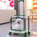 Outdoor Travel Cat Carriers Clear Trolley Strollers Stroller Space Breathable Cat Carrier Stuff Mochila Para Perro Cats Products