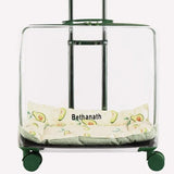 Outdoor Travel Cat Carriers Clear Trolley Strollers Stroller Space Breathable Cat Carrier Stuff Mochila Para Perro Cats Products