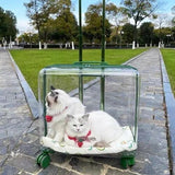 Outdoor Travel Cat Carriers Clear Trolley Strollers Stroller Space Breathable Cat Carrier Stuff Mochila Para Perro Cats Products