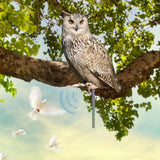 Owl To Keep Birds Away Bird Scare Reflective Hangings Decoration Fake Owl To Scare Birds Away From Gardens Window Trees And More