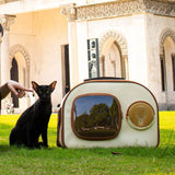 Pet Trolley Suitcase Carrier Transparent Pet Outing Bubble Trolley Case Backpack Cats Transport Extendable Conveyor Bag Things