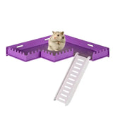 Play Gym Stand Hamster Safe PVC Play Gym With Ladder Cage Toys Decorative Accessories For Chipmunks Hamsters Squirrels Gerbils