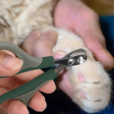 Professional Non Slip Handles Pet Nail Clipper Avoid Over Cutting Stainless Steel Scissors Cat Dog For Claw Care Grooming