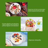 Compact Stainless Steel Yogurt Maker Machine Green 15W Easy to Use DIY Kitchen Appliance for Homemade Yogurt
