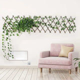 Expandable Plant Climbing Lattices Trellis Fence Screen Willow Fencing  for Climbing Plants Support
