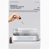 Aroma Diffuser With Bluetooth Speaker Essential Oil Diffuser Flickering Flame 260Ml White Noise Sleep Sound Machine