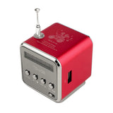 Mini Radio Receiver With USB Portable Speakers With Fm Radio Digital For PC Phone Mp3 Music Player Support Micro SD Card