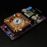 High Power IRS2092 HIFI 1000w Audio Amplifier Board Mono Subwoofer Digital Amp Amplifier