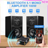 100W Mono AMP Mini Audio Power Amplifier Module 1001B Bluetooth Amplifier Board 2Pack With Box Matching