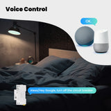 WiFi Tuya Smart Circuit Breaker 40A Threshold Set Electricity Monitor V0 Fireproof Retardant APP Control With Alexa 220V 230V