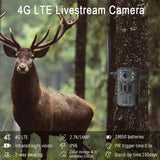 2K Support Solar Powered Lithium Battery Outdoor 4G Hunting Camera Infrared Night Vision Wireless Game Hunting Trail Camera