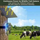 4G Solar Powered Game Trail Camera Photo Traps with Cloud Storage 5W 7800mAH 120 Degree Wide Angle for Wildlife Security