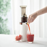 Electric Slow Juicer Household Cold Press Extractor Slag Juice Orange Celery Juicer Residue Juice Separation Fruit Juicers 220V