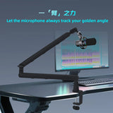 Microphone desktop cantilever bracket live broadcast karaoke microphone anti-shake mobile phone tablet lazy folding bracket