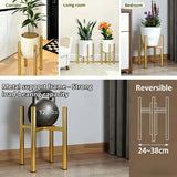 New Strong Iron Plant Support for Orchidaceae Succulents Meddle Needle Numerals Highlighting Mediaeval Charm Enhances Home