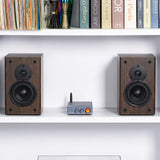 BT20APRO Bluetooth 5.0 dual channel amplifier with high bass adjustment high power amplifier