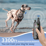DT510 Remote Dog Training Collar For 2 Dogs,