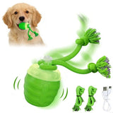 New Engaging Pet Entertainment Ball Toy Suitable for Dog and Various Occasion