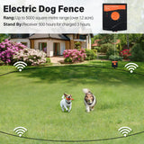 Outdoor Electric Fence  TP16-3 For 3 Dog Fence System Collar In-Ground Dog Fence With bold Wire