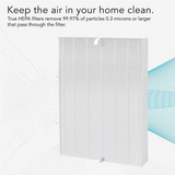 4Pack 115115 HEPA Replacement Parts Accessories Filter For Winix Plasmawave C535 5300 5300-2 6300 6300-2 Air Purifier