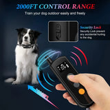 Remote Dog Training Collar  -  Waterproof Training Collar for 2 Dogs  KP886-2  Electric No bark Shock Collars