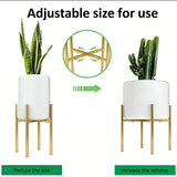 New Strong Iron Plant Support for Orchidaceae Succulents Meddle Needle Numerals Highlighting Mediaeval Charm Enhances Home