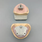 High Quality Intraoral Registration Gothic Arch Tracing Instruments Lab Supplies Lab Accessories
