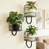 2025 New 3Pcs Wall Mounted Plant Holder Metal Flower Pot Wall Hanging Shelf for Indoor Greenery Display Efficient Design