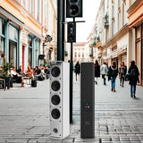 Professional 100W Column Speaker Powerful Home Theater Sound System With Wooden And Aluminium Construction Passive Line Array