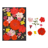 New Natural Dry Flower Leaves for Resin Molds Scrapbooking Jewelry Making