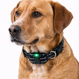 Professional Remote Dog Training Collar, Rechargeable and Rainproof,  Suit for 8-150Lbs Dogs