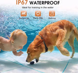 2 Dog Training Collar Rechargeable Remote Trainer 800M Range Waterproof IP67 Electronic Collar with Beep Vibration Shock