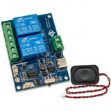 Single-channel AI Voice Relay Module Offline Voice Control Switch Intelligent Remote Control Secondary Development Board Relay