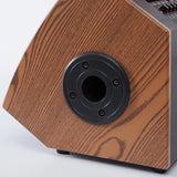 Outdoor Guitar Amplifier Set, Active Speaker With Rechargeable Wireless Microphone Set Wood 100W Bluetooth Speaker
