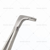 GG Lab Matrix Holder Forcep Matrices Placing Tweezer Tip with T/C  Lab Orthodontics Matrics Forcep Dentist Surgicals Instruments