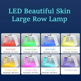 Portable LED Beauty Device Professional Red Light Therapy Panel Electric Skin Care Equipment Female Steam Facials Equipments