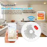 Tuya WiFi Natural Gas Alarm Plug-in Combustible Gas Detector APP Control Support Gases/Methane/Propane/Butane/LPG/LNG