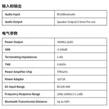 BT20APRO Bluetooth 5.0 dual channel amplifier with high bass adjustment high power amplifier