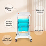 Portable Auxiliary Cart Multifunction Organizer Carts Esthetician Supplies Wheels Trolley Aesthetic Trolley for Beauty Salons