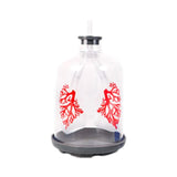 Lung Demonstration Model Experiment Project Science Learning Educational Toy Teaching Tool for Teens School All Ages Children